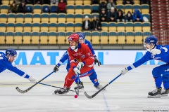 Finland - Ryssland 2019-01-30-6