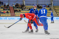 Semifinal Ryssland - Finland 2019-02-01-13
