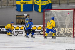 Semifinal Sverige - Kazakhstan 2019-02-01-2