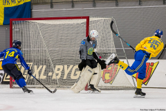 Semifinal Sverige - Kazakhstan 2019-02-01-4