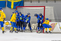 Semifinal Sverige - Kazakhstan 2019-02-01-5