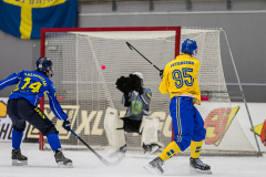Semifinal Sverige - Kazakhstan 2019-02-01-8