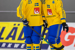 Semifinal Sverige - Kazakhstan 2019-02-01-9