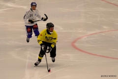 JM13